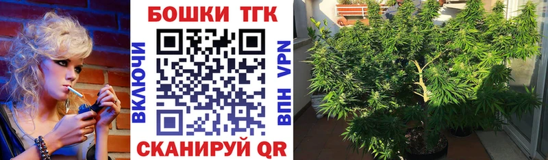 Бошки марихуана планчик Томмот